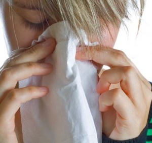 allergy allergy